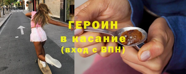 индика Инта