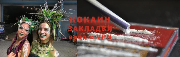 индика Инта