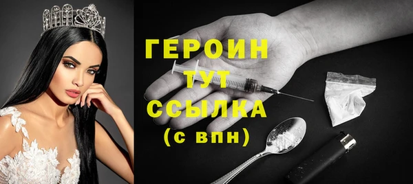 индика Инта
