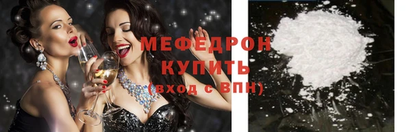 индика Инта