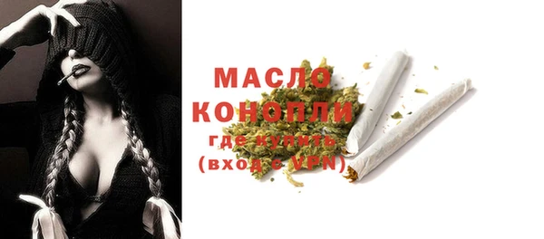 индика Инта