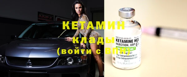 индика Инта