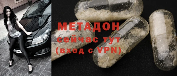 индика Инта
