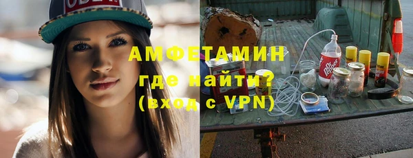 индика Инта