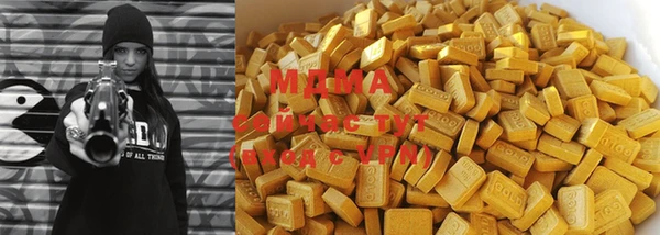 индика Инта