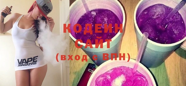 индика Инта