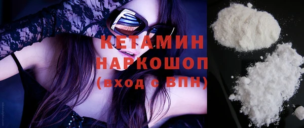 индика Инта