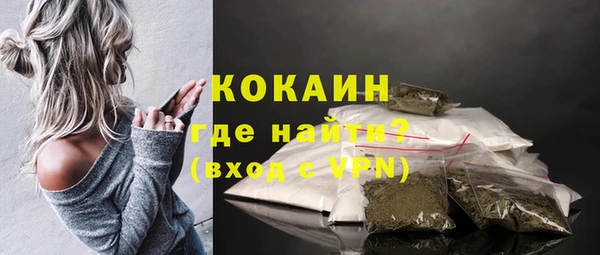 индика Инта