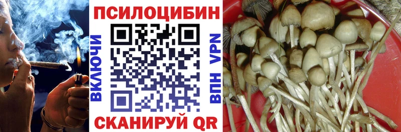 Псилоцибиновые грибы Psilocybe  Купить  Дагестанские Огни 