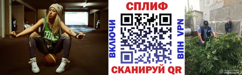Купить где  Дагестанские Огни  Бошки Шишки Ganja 